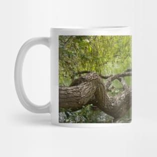 gnarled branches Mug